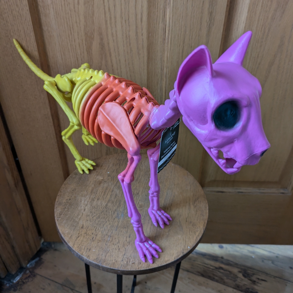 Nwt Halloween Colorful Skeleton Cat Decor. Ashland Halloween Hippie Line.